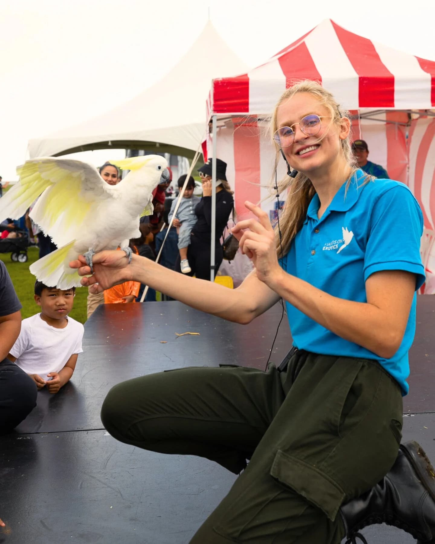 Hands On Exotics handler with a sulfur-crested cockatoo on stage at PumpkinFest with a young guest watching