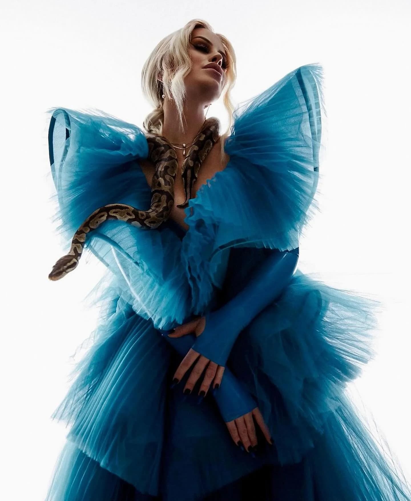 High fashion editorial featuring a model in a dramatic blue tulle gown with a python draped across her shoulders