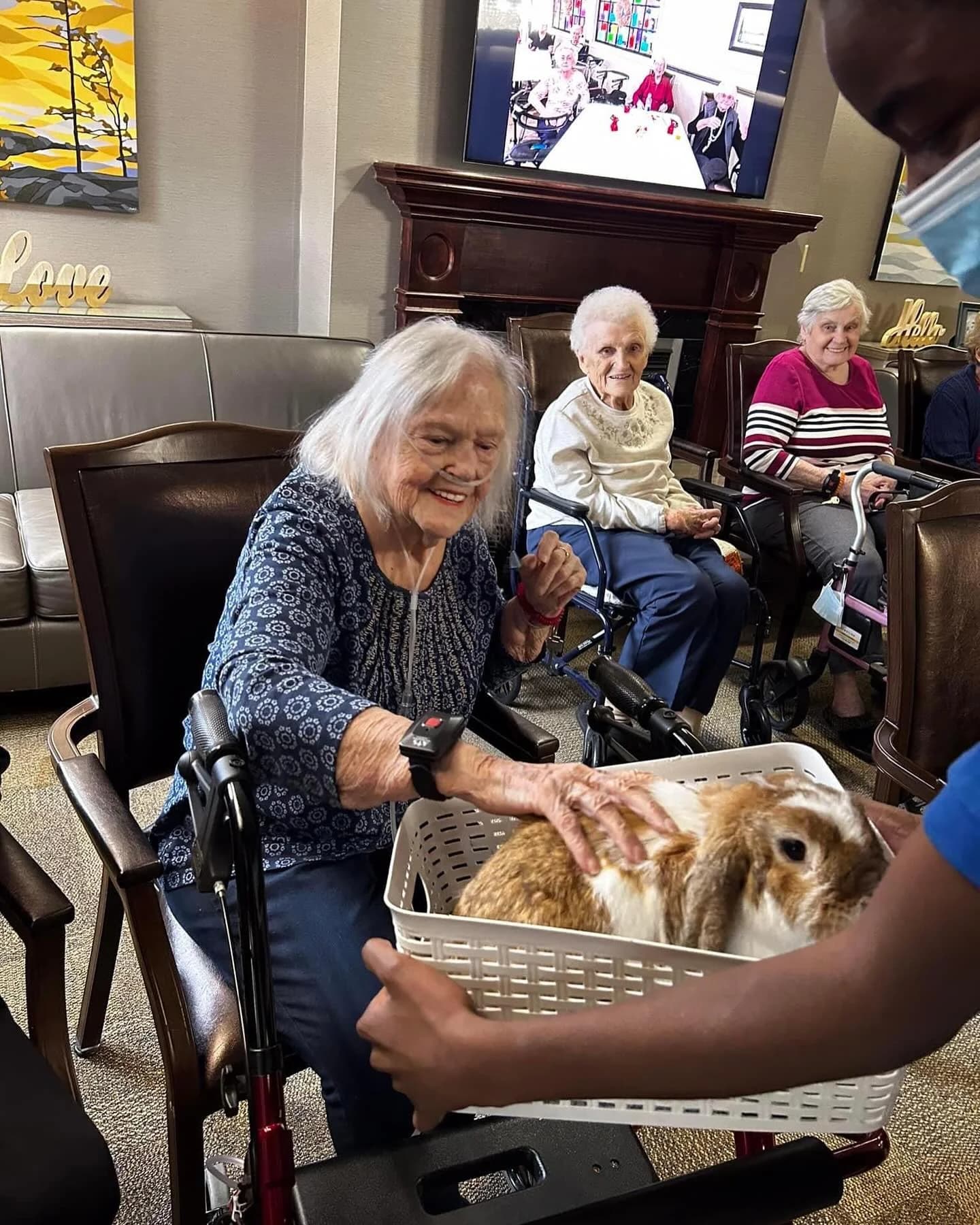 A long-term care resident smiles as a Hands On Exotics handler offers a Holland lop rabbit in a basket inside the lounge